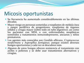 Micosis oportunistas 
 
Su frecuencia ha aumentado considerablemente en las últimas décadas. 
 
Mayor riesgo en personas sometidas a trasplantes de médula ósea y sangre periférica de progenitores, trasplantes de órganos sólidos y cirugía mayor (sobre todo en tubo digestivo); así como los pacientes con SIDA o con enfermedades neoplásicas sometidos a tratamientos inmunodepresores, ancianos y niños prematuros. 
 
Los agentes más conocidos son Candida albicans, Cryptococcus neoformans y Aspergillus fumigatus; aunque existen diversos hongos oportunistas y cada vez se descubren más. 
 
Algunos de estos hongos ofrecen resistencia al tratamiento con azoles o polienos y se debe usar tratamientos alternativos y cirugías.  