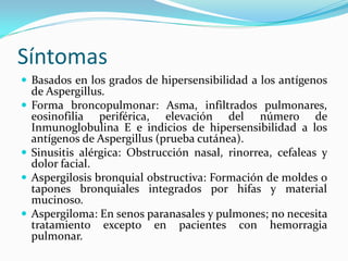 Síntomas 
 
Basados en los grados de hipersensibilidad a los antígenos de Aspergillus. 
 
Forma broncopulmonar: Asma, infiltrados pulmonares, eosinofilia periférica, elevación del número de Inmunoglobulina E e indicios de hipersensibilidad a los antígenos de Aspergillus (prueba cutánea). 
 
Sinusitis alérgica: Obstrucción nasal, rinorrea, cefaleas y dolor facial. 
 
Aspergilosis bronquial obstructiva: Formación de moldes o tapones bronquiales integrados por hifas y material mucinoso. 
 
Aspergiloma: En senos paranasales y pulmones; no necesita tratamiento excepto en pacientes con hemorragia pulmonar.  