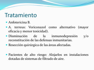 Tratamiento 
 
Anfotericina B. 
 
A. terreus: Voriconazol como alternativo (mayor eficacia y menor toxicidad). 
 
Disminución de la inmunodepresión y/o reconstitución de las defensas inmunitarias. 
 
Resección quirúrgica de las áreas afectadas. 
Pacientes de alto riesgo: Alojarlos en instalaciones dotadas de sistemas de filtrado de aire.  