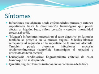 Síntomas 
 
Infecciones que abarcan desde enfermedades mucosa y cutánea superficiales hasta la diseminación hematógena que puede afectar al hígado, bazo, riñón, corazón y cerebro (mortalidad cercana al 50%). 
 
“Muguet”: Infecciones mucosas en el tubo digestivo; en la mujer también se presenta en la mucosa vaginal. Máculas blancas semejantes al requesón en la superficie de la mucosa afectada. También puede presentar infecciones mucosas seudomembranosas (superficie hemorrágica al raspado) y eritematosas (con escozor). 
 
Leucoplasia candidiásica: Engrosamiento epitelial de color blanco que no se desprende. 
 
Queilitis angular: Fisuras irritadas en las comisuras de la boca.  