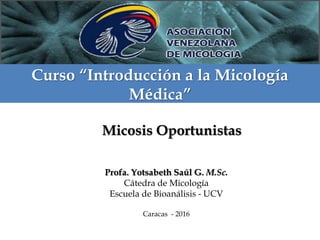 Profa. Yotsabeth Saúl G. M.Sc.
Cátedra de Micología
Escuela de Bioanálisis - UCV
Caracas - 2016
Curso “Introducción a la Micología
Médica”
Micosis Oportunistas
 
