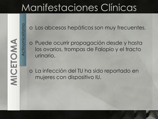 Manifestaciones ClínicasLos abcesos hepáticos son muy frecuentes.Puede ocurrir propagación desde y hasta los ovarios, trompas de Falopio y el tracto urinario.La infección del TU ha sido reportado en mujeres con dispositivo IU.ActinomicetomaMICETOMA