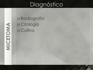 DiagnósticoRadiografíaCitologíaCultivoMICETOMA
