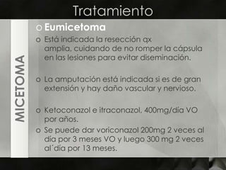 TratamientoEumicetomaEstá indicada la resección qx amplia, cuidando de no romper la cápsula en las lesiones para evitar diseminación.La amputación está indicada si es de gran extensión y hay daño vascular y nervioso.Ketoconazol e itraconazol, 400mg/día VO por años.Se puede dar voriconazol 200mg 2 veces al día por 3 meses VO y luego 300 mg 2 veces al´día por 13 meses.MICETOMA