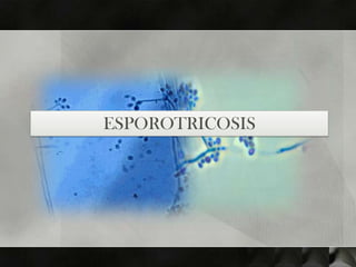 ESPOROTRICOSIS
