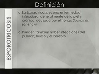 DefiniciónLa Esporotricosis es una enfermedad infecciosa, generalmente de la piel y crónica, causada por el hongo Sporothrix schenckii.Pueden también haber infecciones del pulmón, hueso y el cerebroESPOROTRICOSIS