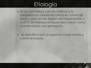 EtiologíaEn la naturaleza y en los cultivos a la temperatura ambiente crece en forma de moho, pero en los tejidos del hospedador o a 37°C en medios enriquecidos crece como una levadura con gemación. Se identifica por su aspecto como moho y como levadura.