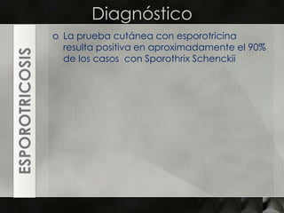 DiagnósticoLa prueba cutánea con esporotricina resulta positiva en aproximadamente el 90% de los casos  con Sporothrix SchenckiiESPOROTRICOSIS
