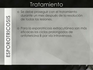 TratamientoSe debe proseguir con el tratamiento durante un mes después de la resolución de todas las lesiones. Para la esporotricosisextracutánea son más eficaces los ciclos prolongados de anfotericina B por vía intravenosa. ESPOROTRICOSIS