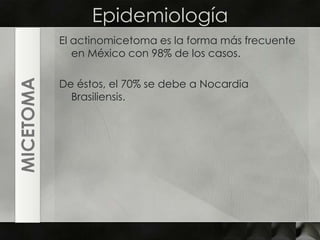 EpidemiologíaEl actinomicetoma es la forma más frecuente en México con 98% de los casos.De éstos, el 70% se debe a NocardiaBrasiliensis.MICETOMA