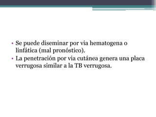 • Se puede diseminar por via hematogena o
  linfática (mal pronóstico).
• La penetración por via cutánea genera una placa
  verrugosa similar a la TB verrugosa.
 