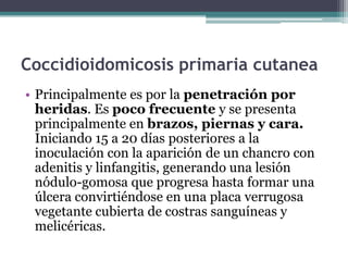 Coccidioidomicosis primaria cutanea
• Principalmente es por la penetración por
  heridas. Es poco frecuente y se presenta
  principalmente en brazos, piernas y cara.
  Iniciando 15 a 20 días posteriores a la
  inoculación con la aparición de un chancro con
  adenitis y linfangitis, generando una lesión
  nódulo-gomosa que progresa hasta formar una
  úlcera convirtiéndose en una placa verrugosa
  vegetante cubierta de costras sanguíneas y
  melicéricas.
 