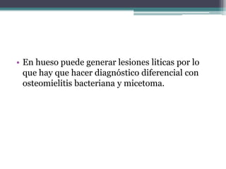 • En hueso puede generar lesiones liticas por lo
  que hay que hacer diagnóstico diferencial con
  osteomielitis bacteriana y micetoma.
 