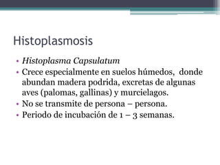 Histoplasmosis
• Histoplasma Capsulatum
• Crece especialmente en suelos húmedos, donde
  abundan madera podrida, excretas de algunas
  aves (palomas, gallinas) y murcielagos.
• No se transmite de persona – persona.
• Periodo de incubación de 1 – 3 semanas.
 