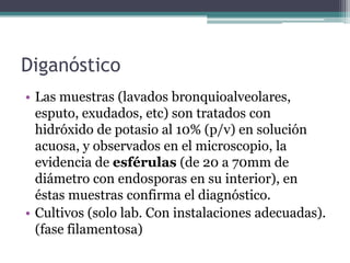 Diganóstico
• Las muestras (lavados bronquioalveolares,
  esputo, exudados, etc) son tratados con
  hidróxido de potasio al 10% (p/v) en solución
  acuosa, y observados en el microscopio, la
  evidencia de esférulas (de 20 a 70mm de
  diámetro con endosporas en su interior), en
  éstas muestras confirma el diagnóstico.
• Cultivos (solo lab. Con instalaciones adecuadas).
  (fase filamentosa)
 