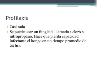 Profilaxis
• Casi nula
• Se puede usar un fungicida llamado 1 cloro-2-
  nitropropano. Hace que pierda capacidad
  infectante el hongo en un tiempo promedio de
  24 hrs.
 