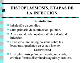 HISTOPLASMOSIS, ETAPAS DE 
LA INFECCION 
Primoinfección 
 Inhalación de conidios. 
 Sitio primario de la infección: pulmón. 
 Aparición de adenopatías satélites al sitio de 
infección. 
 El sistema inmunológico actúa sobre las 
levaduras, quedando en estado latente. 
Enfermedad 
 Histoplasmosis pulmonar aguda, subaguda, 
crónica; formas diseminadas agudas y crónicas. 
 