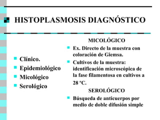 HISTOPLASMOSIS DIAGNÓSTICO 
 Clínico. 
 Epidemiológico 
 Micológico 
 Serológico 
MICOLÓGICO 
 Ex. Directo de la muestra con 
coloración de Giemsa. 
 Cultivos de la muestra: 
identificación microscópica de 
la fase filamentosa en cultivos a 
28 ºC. 
SEROLÓGICO 
 Búsqueda de anticuerpos por 
medio de doble difusión simple 
 