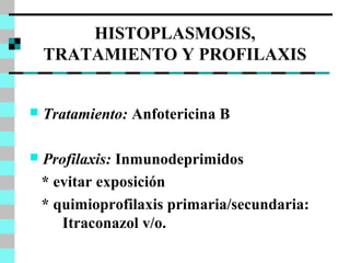 HISTOPLASMOSIS, 
TRATAMIENTO Y PROFILAXIS 
 Tratamiento: Anfotericina B 
 Profilaxis: Inmunodeprimidos 
* evitar exposición 
* quimioprofilaxis primaria/secundaria: 
Itraconazol v/o. 
 