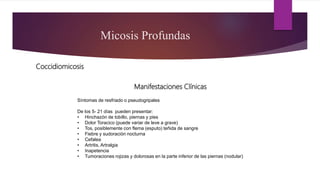 Micosis Profundas
Coccidiomicosis
Manifestaciones Clínicas
Síntomas de resfriado o pseudogripales
De los 5- 21 días pueden presentar:
• Hinchazón de tobillo, piernas y pies
• Dolor Toracico (puede variar de leve a grave)
• Tos, posiblemente con flema (esputo) teñida de sangre
• Fiebre y sudoración nocturna
• Cefalea
• Artritis, Artralgia
• Inapetencia
• Tumoraciones rojizas y dolorosas en la parte inferior de las piernas (nodular)
 
