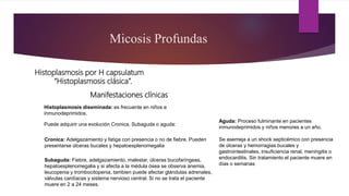 Manifestaciones clínicas
Micosis Profundas
Histoplasmosis por H capsulatum
“Histoplasmosis clásica”.
Histoplasmosis diseminada: es frecuente en niños e
inmunodeprimidos.
Puede adquirir una evolución Cronica, Subaguda o aguda:
Cronica: Adelgazamiento y fatiga con presencia o no de fiebre. Pueden
presentarse úlceras bucales y hepatoesplenomegalia
Subaguda: Fiebre, adelgazamiento, malestar, úlceras bucofaríngeas,
hepatoesplenomegalia y si afecta a la médula ósea se observa anemia,
leucopenia y trombocitopenia, tambien puede afectar glándulas adrenales,
válvulas cardíacas y sistema nervioso central. Si no se trata el paciente
muere en 2 a 24 meses.
Aguda: Proceso fulminante en pacientes
inmunodeprimidos y niños menores a un año.
Se asemeja a un shock septicémico con presencia
de úlceras y hemorragias bucales y
gastrointestinales, insuficiencia renal, meningitis o
endocarditis. Sin tratamiento el paciente muere en
días o semanas
 