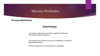 La incidencia más alta se da en Brasil, seguido de Colombia,
Venezuela, Ecuador y Argentina.
Se considera que la infección se da por la inhalación o inoculación
traumática del hongo.
Infección natural esta solo comprobada en armadillos.
Paracoccidioimicosis
Micosis Profundas
Epidemiologia
 