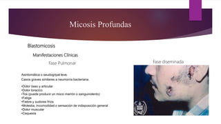 Micosis Profundas
Blastomicosis
•Dolor óseo y articular
•Dolor toracico
•Tos (puede producir un moco marrón o sanguinolento)
•Fatiga
•Fiebre y sudores fríos
•Molestia, incomodidad o sensación de indisposición general
•Dolor muscular
•Caquexia
Manifestaciones Clínicas
Fase Pulmonar
 Afección cutánea y ósea
•Pápulas
•Pústulas( indoloras, color gris, pueden ser
ulceradas, sangran fácil, aparecen en boca,
cuello nariz, manos)
•Nódulos en zonas del cuerpo expuestas.
 Suele diseminarse a la próstata, hígado,
bazo, riñón y SNC.
Fase diseminada
Asintomática o seudogripal leve.
Casos graves similares a neumonía bacteriana.
 