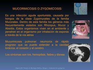 Rippon JW. Tratado de Micología Médica, Hongos y Actinomicetos patógenos MUCORMICOSIS O ZYGOMICOSIS Es una infección aguda oportunista, causada por hongos de la clase Zygomycetes de la familia Mucorales. Dentro de esta familia los géneros más frecuentemente aislados son Rhizopus, Mucor y Absidia. Estos organismos viven en el ambiente y penetran en el organismo por inhalación de esporas a través de la vía aérea Mucormicosis pulmonar: neumonía de rápido progreso que se puede extender a la cavidad torácica, el corazón y el cerebro Los síntomas son tos, hemoptisis, fiebre y disnea 