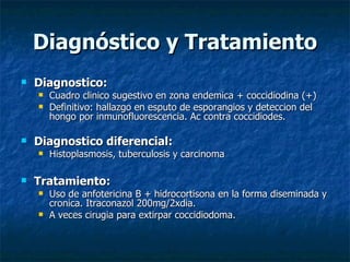 Diagnóstico y Tratamiento Diagnostico: Cuadro clinico sugestivo en zona endemica + coccidiodina (+) Definitivo: hallazgo en esputo de esporangios y deteccion del hongo por inmunofluorescencia. Ac contra coccidiodes. Diagnostico diferencial: Histoplasmosis, tuberculosis y carcinoma Tratamiento: Uso de anfotericina B + hidrocortisona en la forma diseminada y cronica. Itraconazol 200mg/2xdia. A veces cirugia para extirpar coccidiodoma. 