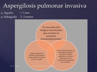Aspergilosis pulmonar invasiva



Aguda:
Subaguda:

< 1 mes
2 -3 meses

Es una infección
fúngica necrotizante
que ocurren en
pacientes
inmunodeprimidos.

Según el grado de
deterioro inmunitario
puede adoptar la forma
crónica o aguda.

Como el germen tiene un
importante tropismo
vascular ocasiona
trombosis y necrosis
isquémica con la
consecuente formación
de cavidades.

 