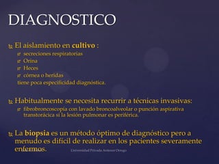 DIAGNOSTICO


El aislamiento en cultivo :
secreciones respiratorias
 Orina
 Heces
 córnea o heridas
tiene poca especificidad diagnóstica.




Habitualmente se necesita recurrir a técnicas invasivas:




fibrobroncoscopía con lavado broncoalveolar o punción aspirativa
transtorácica si la lesión pulmonar es periférica.

La biopsia es un método óptimo de diagnóstico pero a
menudo es difícil de realizar en los pacientes severamente
enfermos.

 