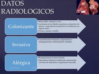 DATOS
RADIOLOGICOS
Colonizante

Invasiva

Alérgica

•Masa sólida, redonda u oval
•Localizada en los lóbulos superiores, adyacente a la
pleura, y separada de la pared de la cavidad por un
espacio aéreo
•Forma y tamaño variable.

•Consolidaciones lobulares, segmentarias o
subsegmentarias, habitualmente múltiples

•Bronquiectasias en fases iniciales
•Opacidades tubulares multifocales relacionadas
con áreas de atelectasia e impactación mucoide.

 