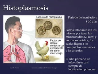 Histoplasmosis
Periodo de incubación:
8-30 días
Forma infectante son los
micelos por tener las
microconidias (2-4um) y
las macroconidios, los
cuales llegan a los
bronquiolos terminales
y los alveolos.
El sitio primario de
infección es casi
siempre de
localización pulmonar

 