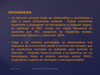 PATOGÉNESIS:
• La infección primaria suele ser asintomática y autolimitada y
sólo a veces clínicamente evidente.
Puede controlarse
localmente o propagarse vía hematógena a cualquier órgano,
en particular al SNC. Incide con mayor frecuencia en
pacientes con: IRC, receptores de trasplantes renales,
sarcoidosis, linfomas y, sobre todo, SIDA.
• Llega a los alvéolos pulmonares se desencadena una
respuesta de la inmunidad celular y humoral del huésped, que
en condiciones normales es suficiente para controlar la
infección. Progresa hacia el pulmón y se disemina por vía
hematógena hasta el sistema nervioso central (SNC),
produciendo cuadros de meningitis o meningoencefalitis.

 