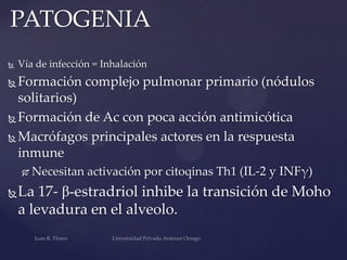 PATOGENIA


Vía de infección = Inhalación

Formación complejo pulmonar primario (nódulos
solitarios)
 Formación de Ac con poca acción antimicótica
 Macrófagos principales actores en la respuesta
inmune






Necesitan activación por citoqinas Th1 (IL-2 y INFγ)

La 17- β-estradriol inhibe la transición de Moho
a levadura en el alveolo.

 