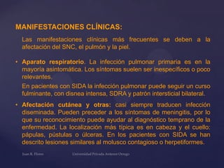 MANIFESTACIONES CLÍNICAS:
Las manifestaciones clínicas más frecuentes se deben a la
afectación del SNC, el pulmón y la piel.
• Aparato respiratorio. La infección pulmonar primaria es en la
mayoría asintomática. Los síntomas suelen ser inespecíficos o poco
relevantes.
En pacientes con SIDA la infección pulmonar puede seguir un curso
fulminante, con disnea intensa, SDRA y patrón intersticial bilateral.

• Afectación cutánea y otras: casi siempre traducen infección
diseminada. Pueden preceder a los síntomas de meningitis, por lo
que su reconocimiento puede ayudar al diagnóstico temprano de la
enfermedad. La localización más típica es en cabeza y el cuello:
pápulas, pústulas o úlceras. En los pacientes con SIDA se han
descrito lesiones similares al molusco contagioso o herpetiformes.

 