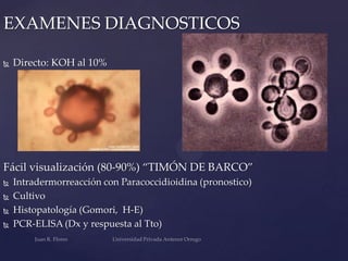EXAMENES DIAGNOSTICOS


Directo: KOH al 10%

Fácil visualización (80-90%) “TIMÓN DE BARCO”





Intradermorreacción con Paracoccidioidina (pronostico)
Cultivo
Histopatología (Gomori, H-E)
PCR-ELISA (Dx y respuesta al Tto)

 
