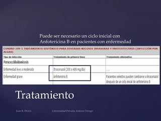 Puede ser necesario un ciclo inicial con
Anfotericina B en pacientes con enfermedad
grave

Tratamiento

 