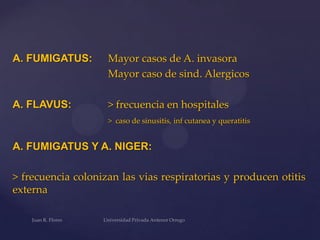 A. FUMIGATUS:

Mayor casos de A. invasora
Mayor caso de sind. Alergicos

A. FLAVUS:

> frecuencia en hospitales
> caso de sinusitis, inf cutanea y queratitis

A. FUMIGATUS Y A. NIGER:

> frecuencia colonizan las vias respiratorias y producen otitis
externa

 