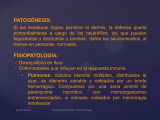 PATOGÉNESIS:
Si las levaduras logran penetrar la dermis, la defensa queda
primordialmente a cargo de los neutrófilos, los que pueden
fagocitarlas y destruirlas y también, dañar los seudomicelios, al
menos en personas normales.

FISIOPATOLOGÍA:
- Desequilibrio en flora
- Enfermedades que influyen en la respuesta inmune.
• Pulmones: nódulos blancos múltiples, distribuidos al
azar, de diámetro variable y rodeados por un borde
hemorrágico. Compuestos por una zona central de
parénquima
necrótico
con
microorganismos
entremezclados, a menudo rodeados por hemorragia
intralveolar.

 