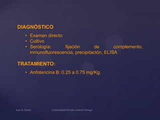DIAGNÓSTICO
• Examen directo
• Cultivo
• Serología:
fijación
de
complemento,
inmunofluorescencia, precipitación, ELISA

TRATAMIENTO:
• Anfotericina B: 0.25 a 0.75 mg/Kg.

 