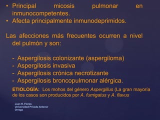 • Principal
micosis
pulmonar
inmunocompetentes.
• Afecta principalmente inmunodeprimidos.

en

Las afecciones más frecuentes ocurren a nivel
del pulmón y son:
-

Aspergilosis colonizante (aspergiloma)
Aspergilosis invasiva
Aspergilosis crónica necrotizante
Aspergilosis broncopulmonar alérgica.

ETIOLOGÍA: Los mohos del género Aspergillus (La gran mayoría
de los casos son producidos por A. fumigatus y A. flavus
Juan R. Flores
Universidad Privada Antenor
Orrego

 