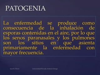 PATOGENIA
La enfermedad se produce como
consecuencia de la inhalación de
esporas contenidas en el aire, por lo que
los senos paranasales y los pulmones
son los sitios en que asienta
primariamente la enfermedad con
mayor frecuencia.

 