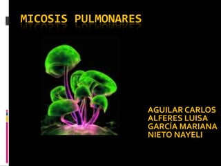 MICOSIS PULMONARES,[object Object],AGUILAR CARLOS,[object Object],ALFERES LUISA,[object Object],GARCÍA MARIANA,[object Object],NIETO NAYELI,[object Object]
