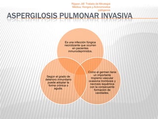 Rippon JW. Tratado de Micología
                                 Médica, Hongos y Actinomicetos
                                                      patógenos

ASPERGILOSIS PULMONAR INVASIVA


                        Es una infección fúngica
                        necrotizante que ocurren
                              en pacientes
                          inmunodeprimidos.




                                              Como el germen tiene
                                                  un importante
          Según el grado de
                                                tropismo vascular
         deterioro inmunitario
                                              ocasiona trombosis y
           puede adoptar la
                                               necrosis isquémica
            forma crónica o
                                               con la consecuente
                aguda.
                                                   formación de
                                                    cavidades.
 
