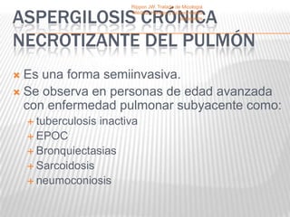 Rippon JW. Tratado de Micología


ASPERGILOSIS CRÓNICA       Médica, Hongos y Actinomicetos
                                                patógenos




NECROTIZANTE DEL PULMÓN
 Es una forma semiinvasiva.
 Se observa en personas de edad avanzada
  con enfermedad pulmonar subyacente como:
     tuberculosis   inactiva
     EPOC
     Bronquiectasias
     Sarcoidosis
     neumoconiosis
 