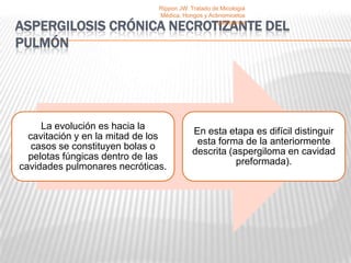 Rippon JW. Tratado de Micología
                               Médica, Hongos y Actinomicetos

ASPERGILOSIS CRÓNICA NECROTIZANTE DEL               patógenos


PULMÓN




     La evolución es hacia la
                                          En esta etapa es difícil distinguir
  cavitación y en la mitad de los
                                           esta forma de la anteriormente
   casos se constituyen bolas o
                                          descrita (aspergiloma en cavidad
  pelotas fúngicas dentro de las
                                                     preformada).
cavidades pulmonares necróticas.
 