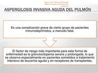 Rippon JW. Tratado de Micología
                           Médica, Hongos y Actinomicetos
                                                patógenos

ASPERGILOSIS INVASIVA AGUDA DEL PULMÓN



   Es una complicación grave de cierto grupo de pacientes
            inmunodeprimidos, a menudo fatal.




      El factor de riesgo más importante para esta forma de
 enfermedad es la granulocitopenia severa y prolongada, lo que
se observa especialmente en pacientes sometidos a tratamiento
  intensivo de leucemia aguda y en receptores de transplantes.
 