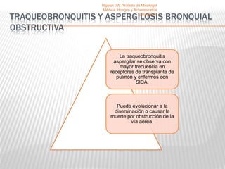 Rippon JW. Tratado de Micología
                   Médica, Hongos y Actinomicetos

TRAQUEOBRONQUITIS Y ASPERGILOSIS BRONQUIAL
                                        patógenos


OBSTRUCTIVA


                           La traqueobronquitis
                         aspergilar se observa con
                           mayor frecuencia en
                       receptores de transplante de
                          pulmón y enfermos con
                                   SIDA.



                         Puede evolucionar a la
                        diseminación o causar la
                       muerte por obstrucción de la
                               vía aérea.
 