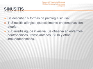 Rippon JW. Tratado de Micología
                           Médica, Hongos y Actinomicetos
                                                patógenos

SINUSITIS
   Se describen 5 formas de patología sinusal:
   1) Sinusitis alérgica, especialmente en personas con
    atopía.
   2) Sinusitis aguda invasiva. Se observa en enfermos
    neutropénicos, transplantados, SIDA y otros
    inmunodeprimidos.
 